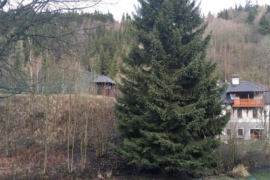 Villa Vykmanov Medenec Zewnętrze zdjęcie